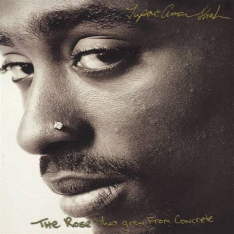 Classy with a Twist: Tupac: The Rose That grew From Concrete