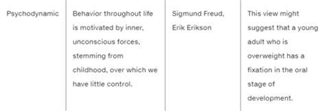 Life Span Processes Chapter An Introduction To Lifespan