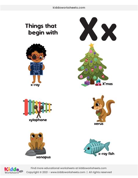 Words That Start With X