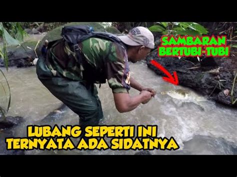 Mancing Sidat Di Sungai Dangkal Sehabis Hujan Ternyata Sidat Di Sungai