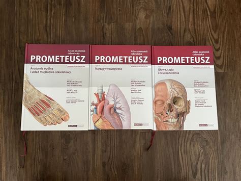 Atlas anatomii Prometeusz nomenklatura angielska Łódź Śródmieście OLX pl