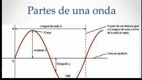 Solution Ondas Partes De Una Onda Y Sus Caracter Sticas Rea Ciencias