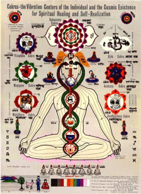 Chakra Posters Kundalini Yoga Chakra Meditation Spirituality