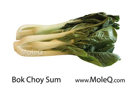 Bok Choy Sum (Chinese white cabbage) – Moleq Inc. – Food Information