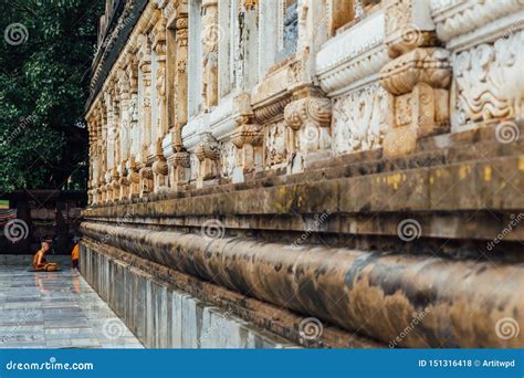 Bodhi Bo Or Bodh Tree With Yellow Buddhist Monk Robe Tight Around