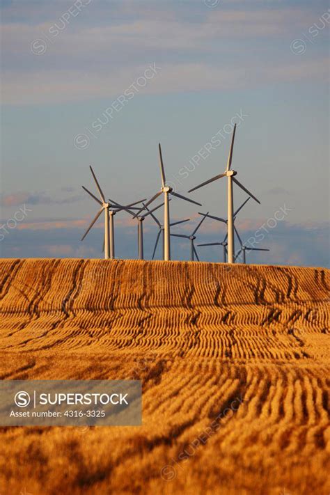 Wind Turbines Of The Cedar Creek Wind Farm On The Pawnee National Grasslands Near Grover