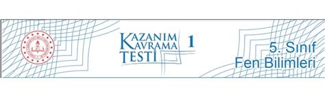 5 Sinif Fenbilimleri Kazanim Testleri Ve Cevaplari 2019 5 Sinif Sinif