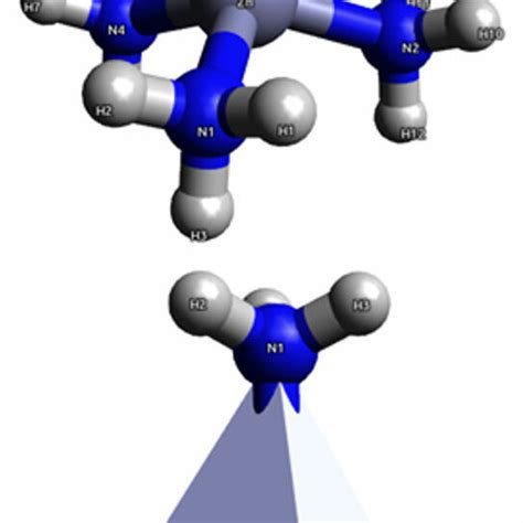 The Spatial Distribution Of Nh 3 Molecules Ligands Of The Complex