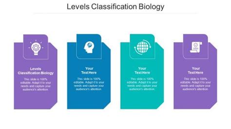 Levels Classification Biology Powerpoint Presentation And Slides Slideteam