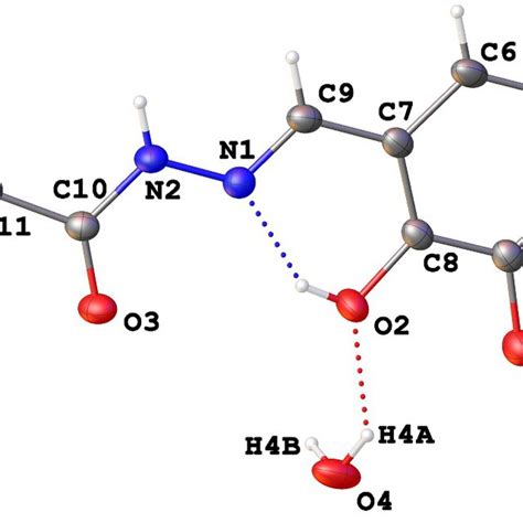 Molecular structure of the Cu (II) complex (3) | Download Scientific ... 