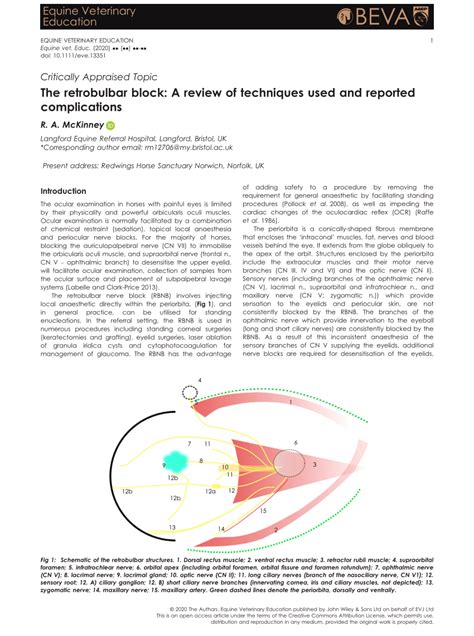 (PDF) The retrobulbar block: A review of techniques used and reported complications