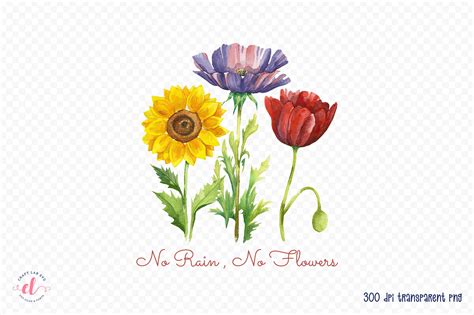 rain  flowers flower quote png graphic  craftlabsvg creative