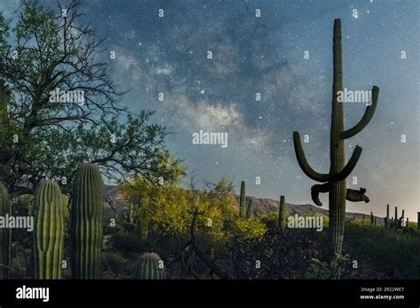 The Milky Way Lights Up The Arizona Night Sky Stock Photo Alamy