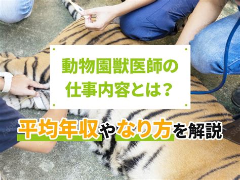 動物園獣医師の仕事内容とは？平均年収やなり方を解説 アニジョブプラス 獣医師のための転職・求人お役立ちコラム