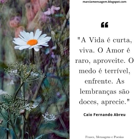 Frases A Vida É Curta - Frases,Mensagens e Poesias: A Vida é Curta