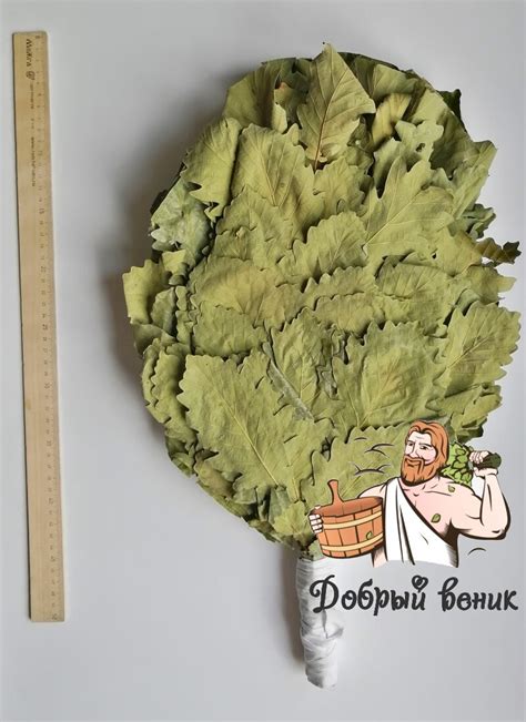 ВЕНИКИ ДЛЯ БАНИ