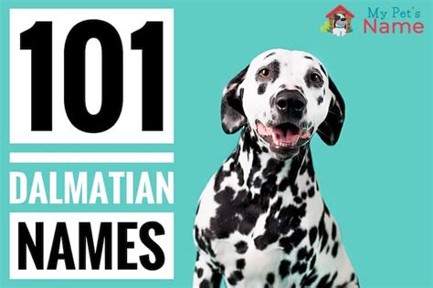 101 Dalmatian Names: A-to-Z of Every Dog Name From 101 Dalmatians | My ...