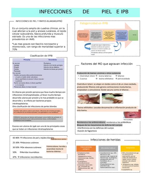 Infecciones De Piel Y Tejidos Blandos Infecciones De Piel Y Partes Blandas Ippb Es Un