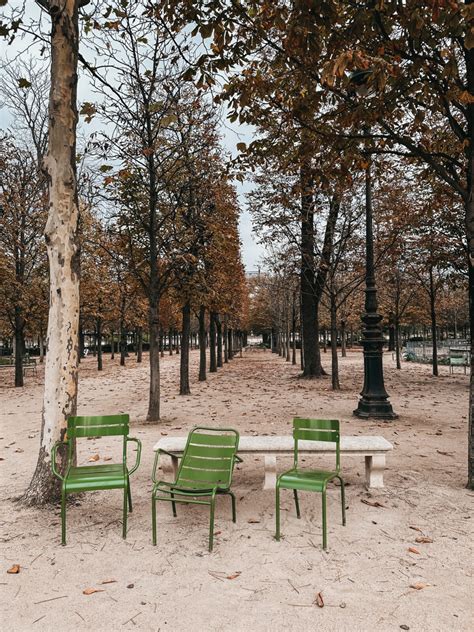 Where to See Fall Foliage in Paris - wit & whimsy