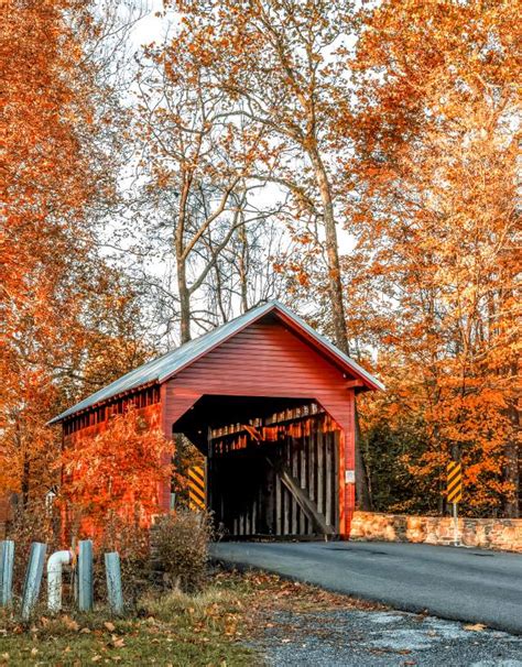 Covered Bridges & Fall Foliage Tour in Maryland | Visit Frederick