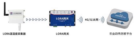 基于LoRa无线组网技术的温湿度监测系统 LPWA物联网应用 惠众智链