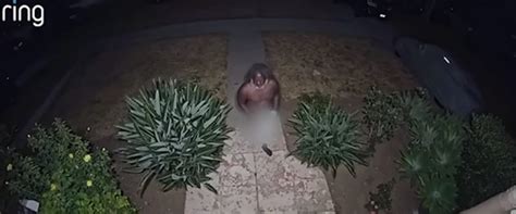 Angry Naked Man Causes Terror In Mid Wilshire Neighborhood Residents On Edge Century City News