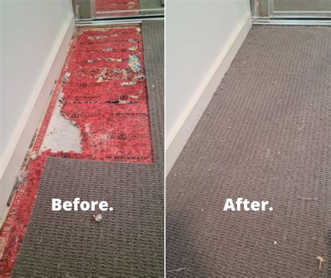 Carpet Repairs Perth Carpet Patching Stretching And More