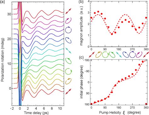 Figure 4 From Phase Control Of Magnons In The Van Der Waals