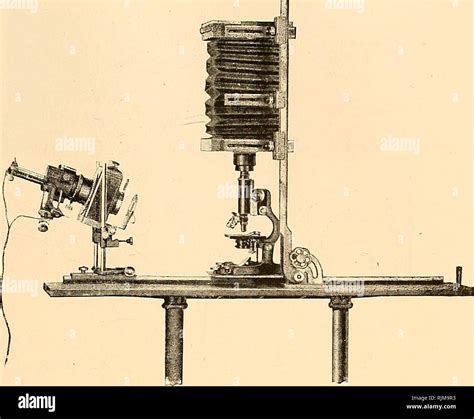 Bausch Lomb Microscope Hi Res Stock Photography And Images Alamy