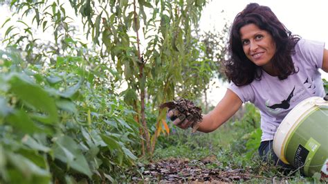 Come La Permacultura Mi Ha Cambiato La Vita A Montepulciano Nasce Il