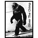 Oliver The Chimp - Top Documentary Films
