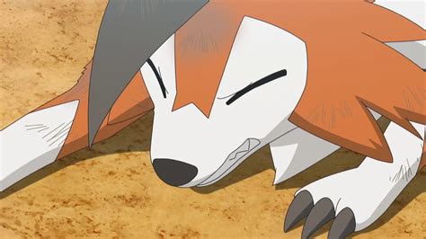 Lycanroc Screenshot Pokemon Pictures Cute Pokemon Pictures Pokemon