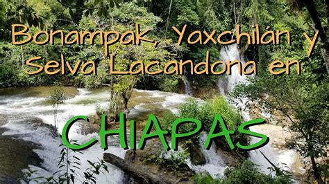 C Mo Ir A Bonampak Yaxchil N Y La Selva Lacandona Cu Nto Cuesta Un