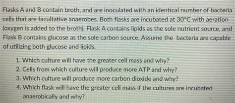 Solved Flasks A And B Contain Broth And Are Inoculated With