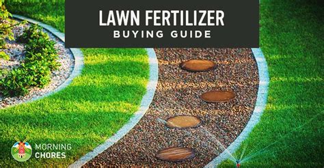 Best Lawn Fertilizer for Grass - Buying Guide and Recommendation