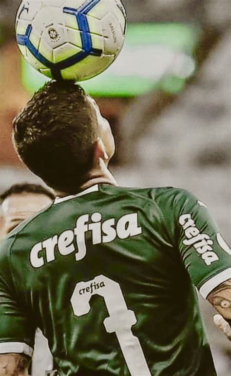 Pin Em Palmeiras