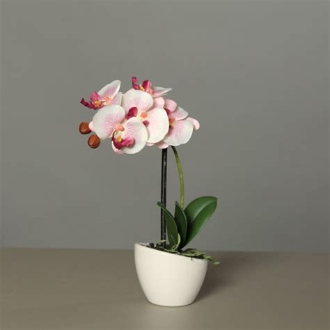 Orchid E Phalaeno Artificielle Rose Blanc Pot C Ramique H Cm Jardiland