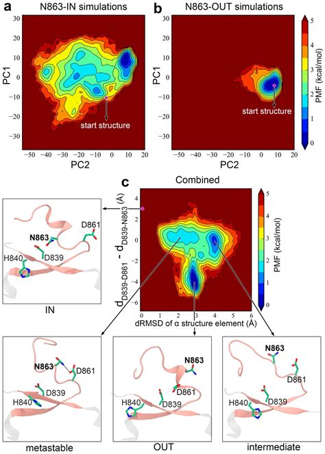 Figures And Data In Structural And Functional Insights Into The Bona