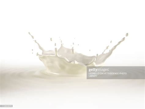 Milk Crown Splash With Ripples Illustration High Res Vector Graphic