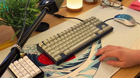 Geonworks Navy Frog TKL W Cherry MX Hyperglides And CRP Xerox Best