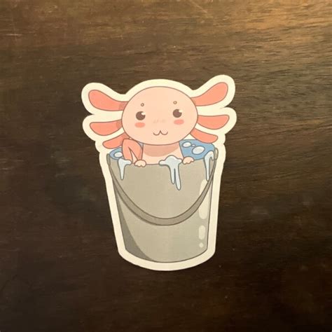 Axolotl In A Bucket Etsy