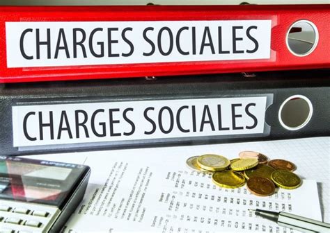 Aide Au Paiement Des Cotisations Sociales