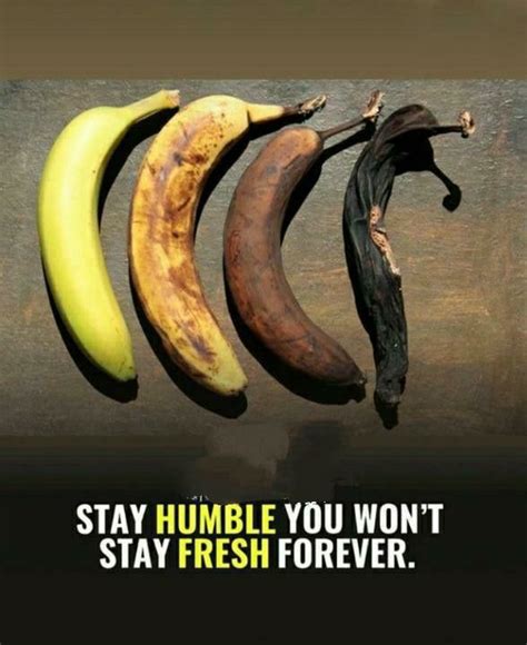 Three Bananas And One Banana Peel With The Words Stay Humble You Won T