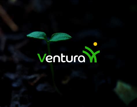 Ventura Logo Branding :: Behance