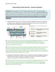 Lecture S Homework Answers Pdf Biol Summer