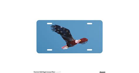 Patriotic Bald Eagle License Plate | Zazzle