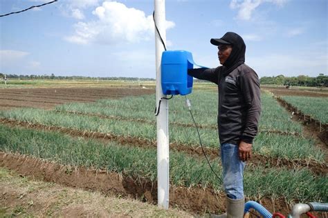 Program Electrifying Agriculture Pln Sukses Tekan Biaya Operasional