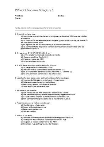 1o Parcial PB3 Recreacion Pdf