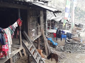 Tamang Heritage Langtang Gosainkunda And Helambu Trek