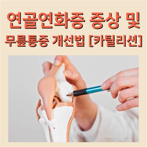 연골연화증증상 및 무릎통증 개선방안 카틸리션 편 네이버 블로그